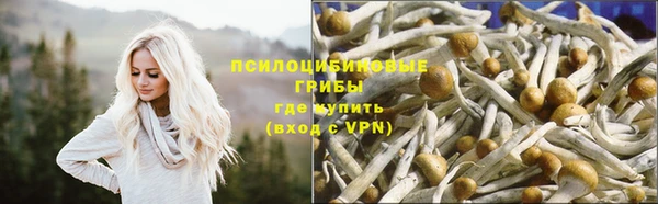 герыч Бугульма