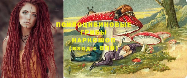 ПСИЛОЦИБИНОВЫЕ ГРИБЫ Богородск
