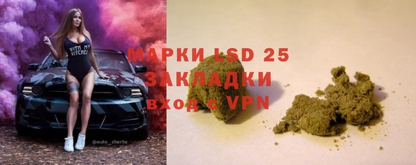 стафф Богданович