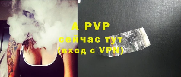 стафф Богданович