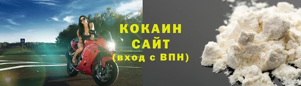 стаф Болхов