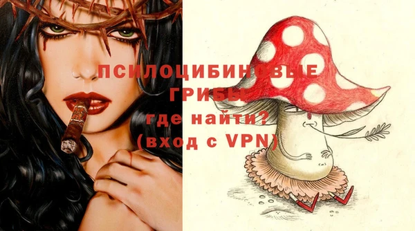прущая мука Болотное