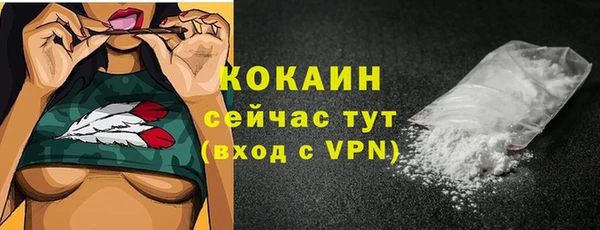 стафф Богданович
