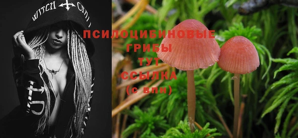 альфа пвп Бородино