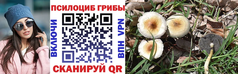 продажа наркотиков  Гороховец  Галлюциногенные грибы мухоморы 